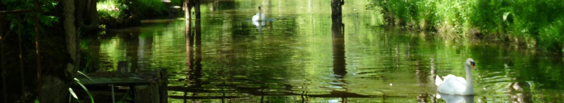 marais poitevin