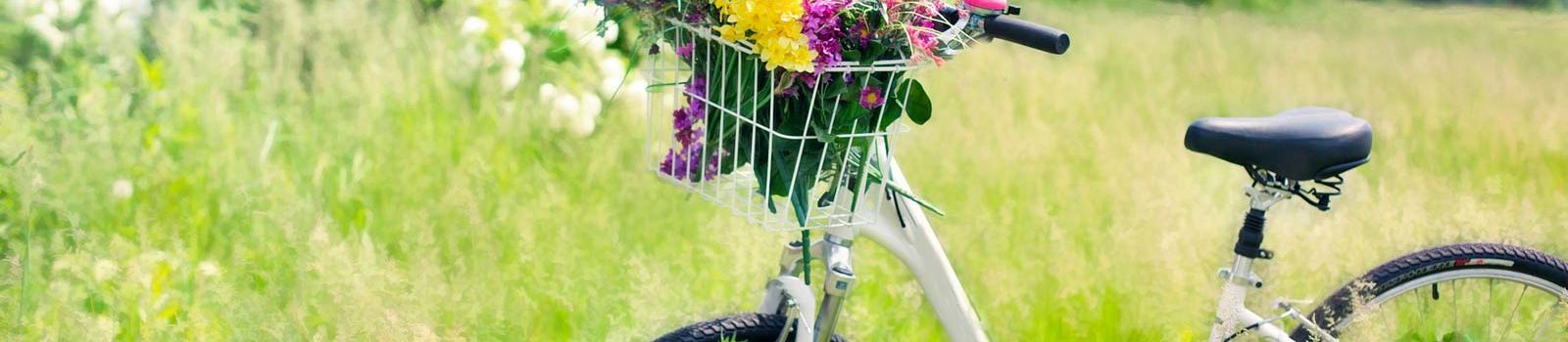 marais poitevin a velo