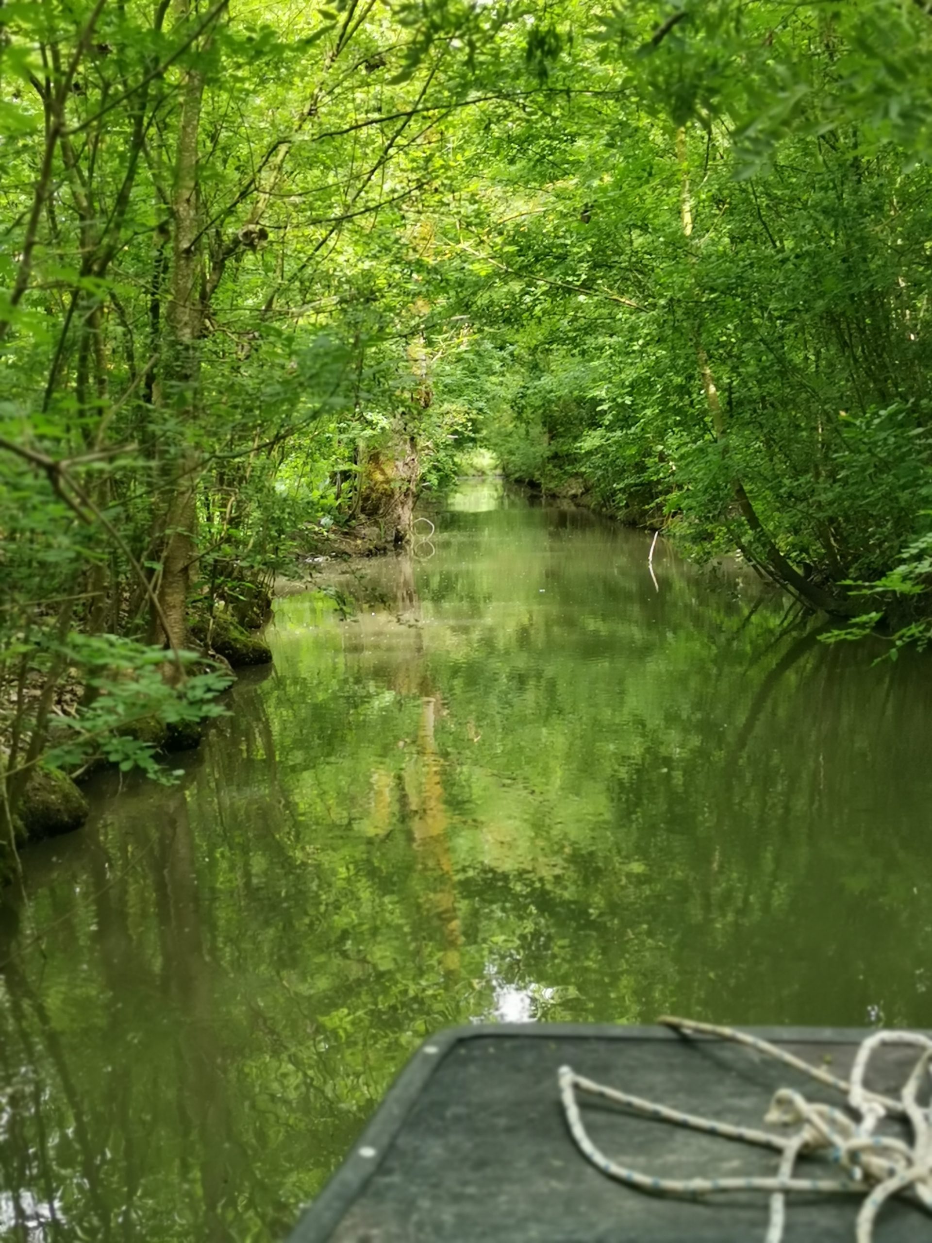 Le Marais poitevin