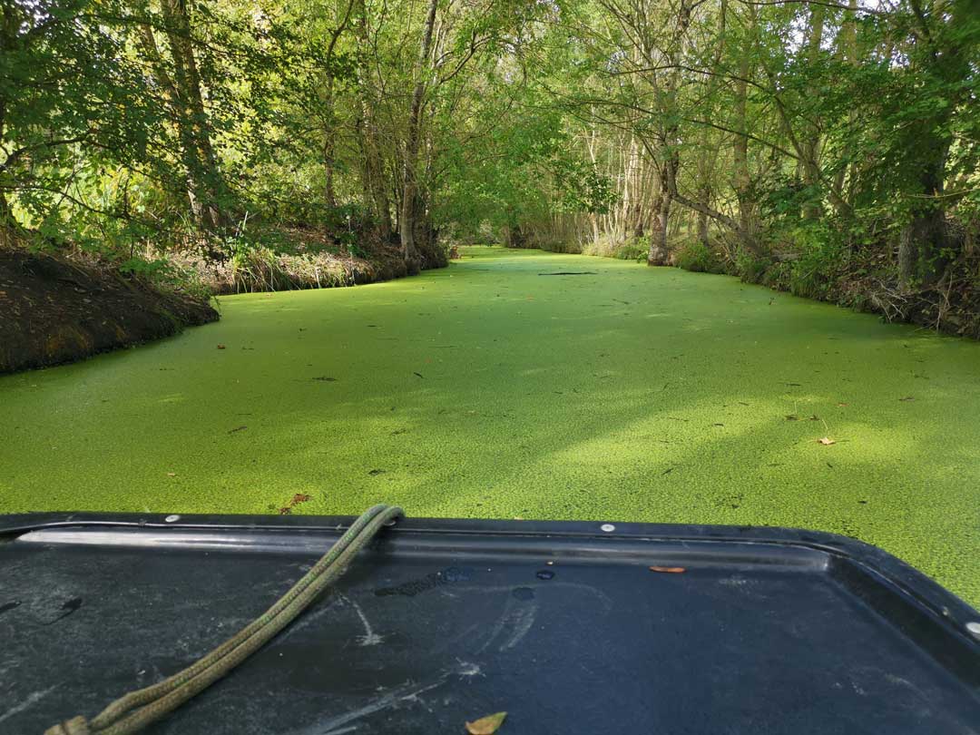 BALADE MARAIS POITEVIN