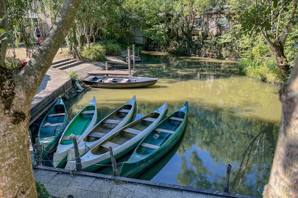 balade romantique marais poitevin