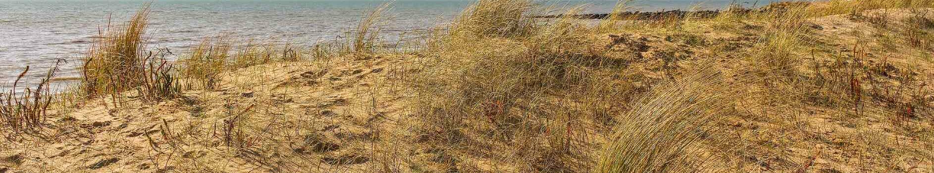 La Réserve naturelle de la Baie de l'Aiguillon