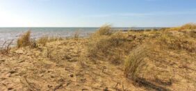 La Réserve naturelle de la Baie de l'Aiguillon