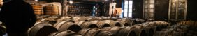5 distilleries de Cognac à visiter : une expérience dégustation inoubliable