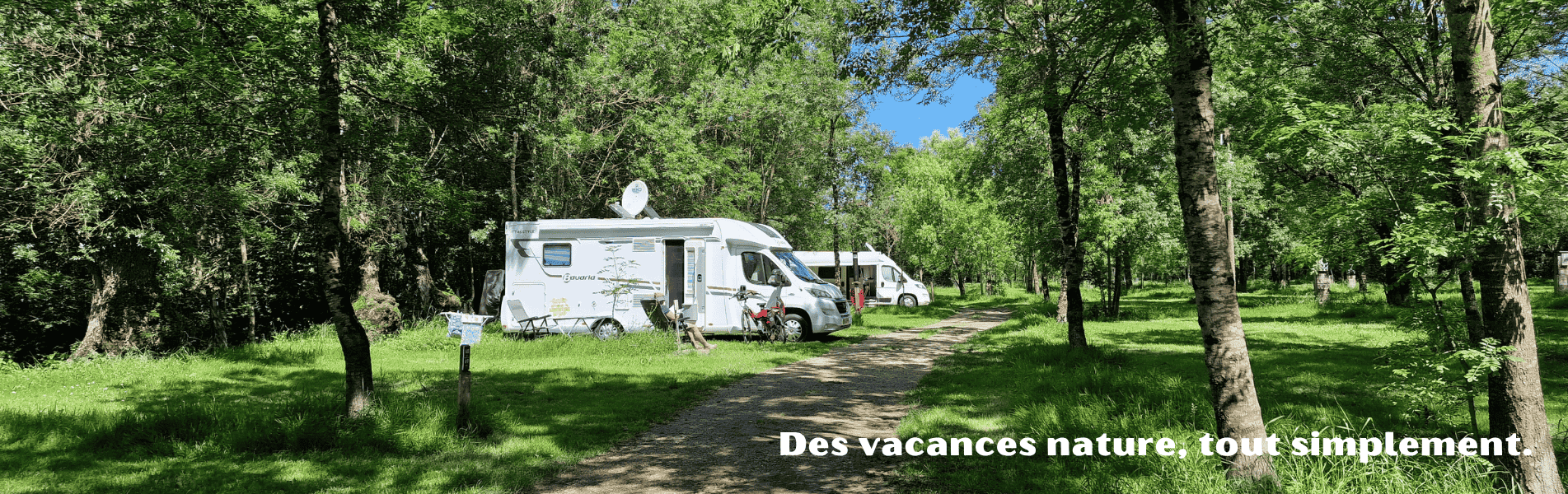 camping car dans le marais sauvage