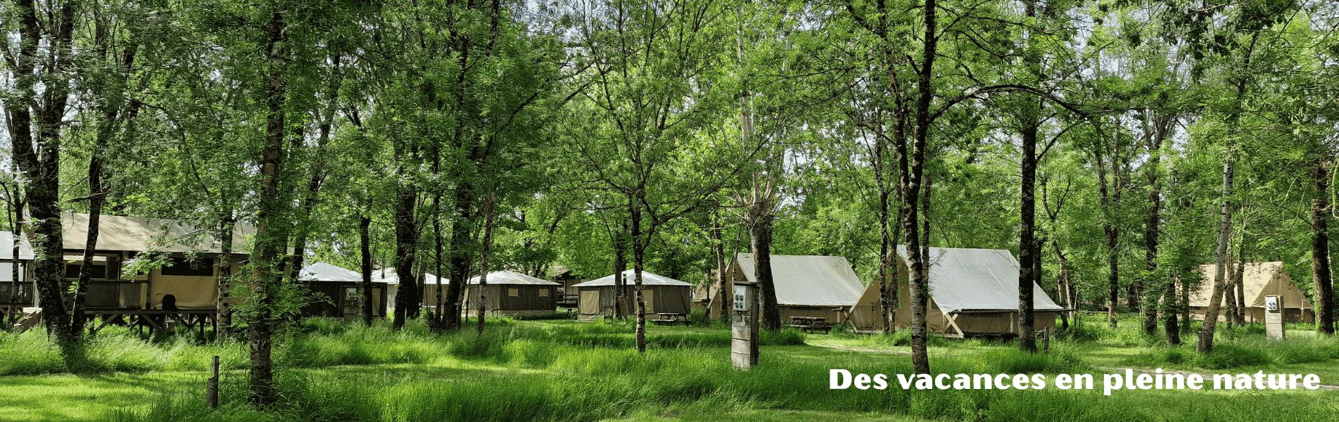 Emplacement nature au camping le lidon