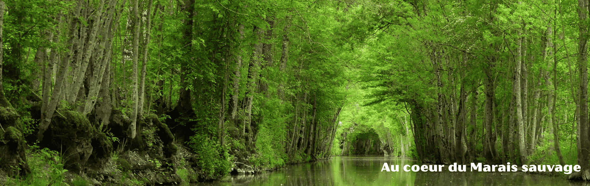 marais sauvage camping le lidon