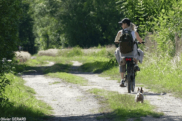 séjour en camping Vélo Francette