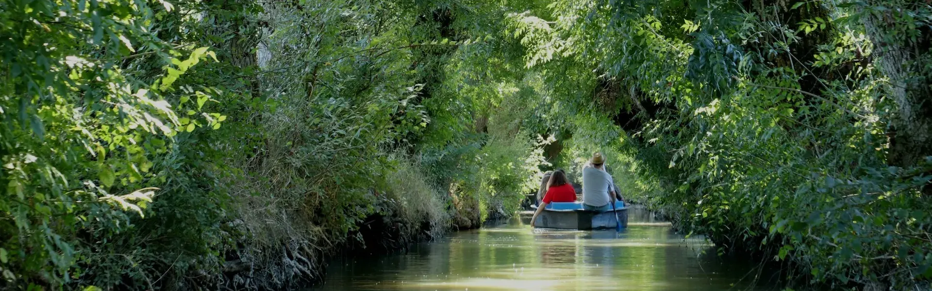 Balade En Barque Au Marais Poitevin