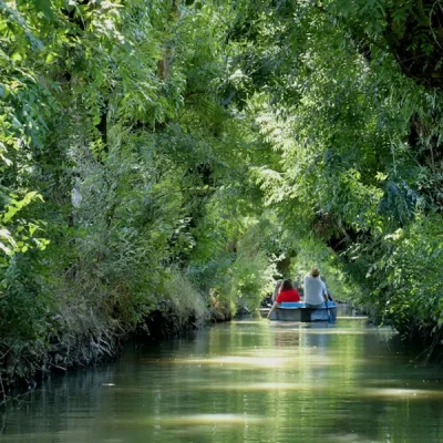visite-guidee-du-marais-poitevin-camping-le-lidon-venise-verte
