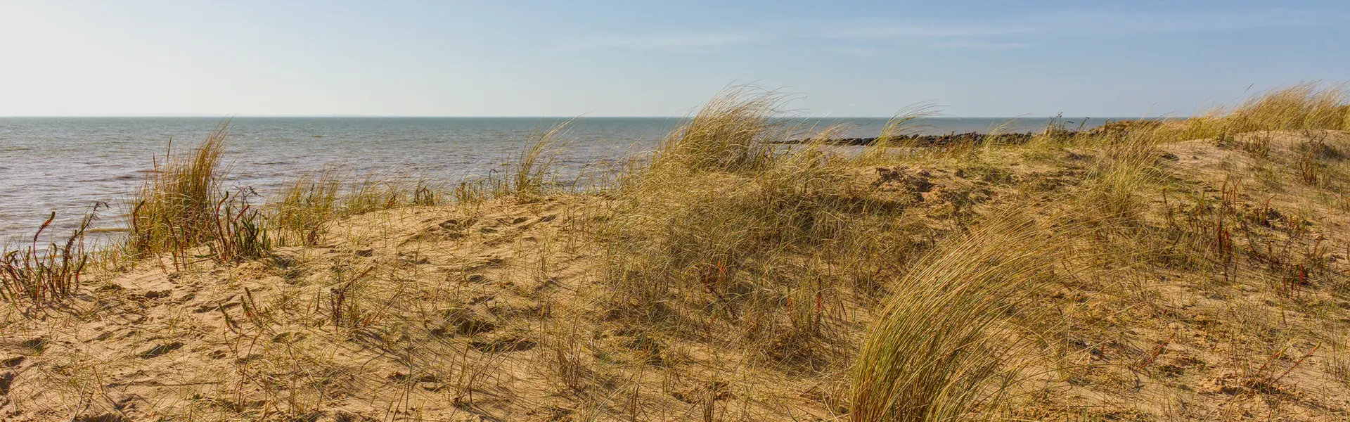 La Réserve naturelle de la Baie de l'Aiguillon